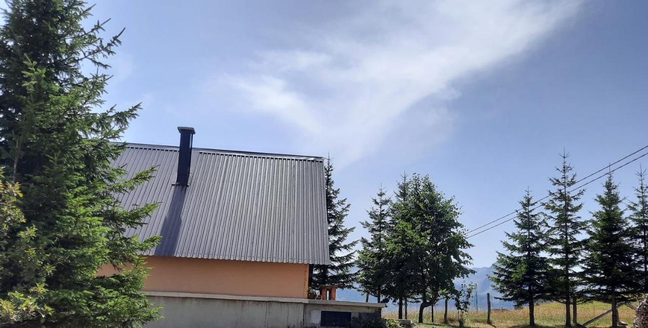 Vila Aleksandar Zabljak  Exterior photo